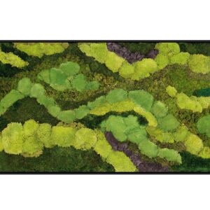 Riva Moss Framed Amazona River Rectangle