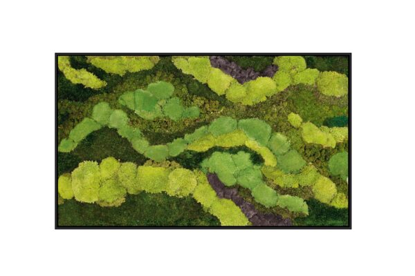 Riva Moss Framed Amazona River Rectangle